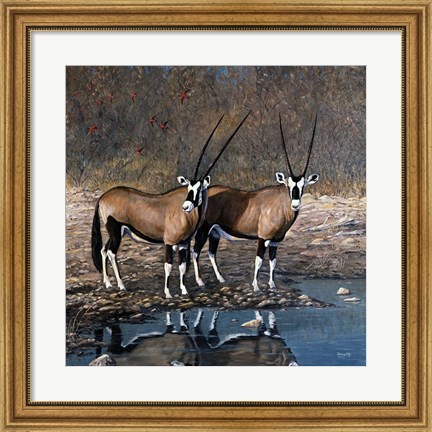 Framed At The Waterhole Print