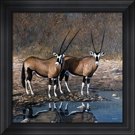 Framed At The Waterhole Print