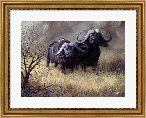 Framed Dugga Boys Caped Buffalo Print
