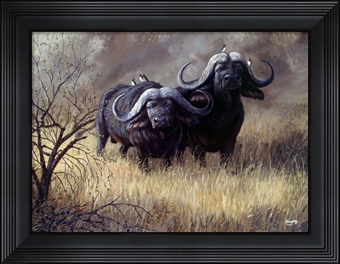 Framed Dugga Boys Caped Buffalo Print