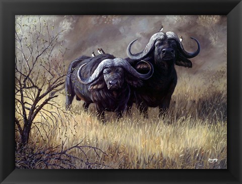 Framed Dugga Boys Caped Buffalo Print
