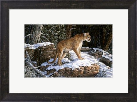 Framed High Country Lookout Print
