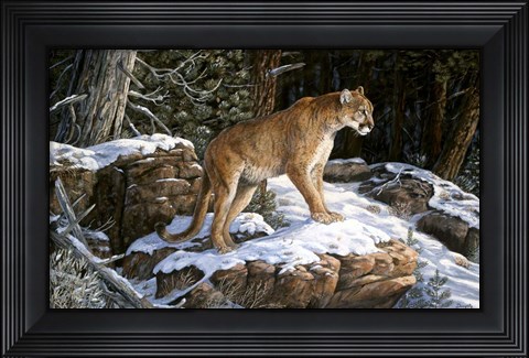 Framed High Country Lookout Print