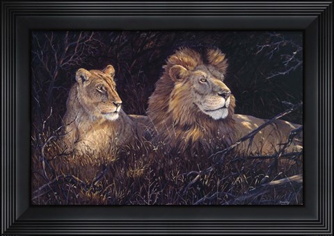 Framed In Deep Shadows Print