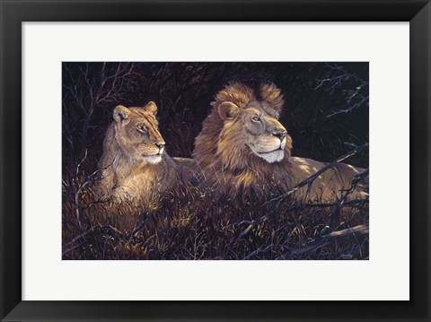 Framed In Deep Shadows Print