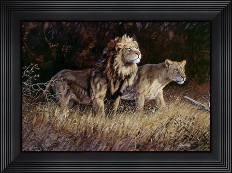Framed Lions Print