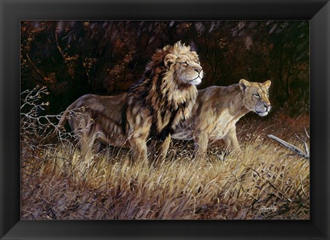 Framed Lions Print