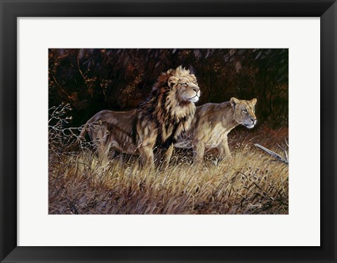 Framed Lions Print