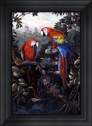 Framed Macaws Red Print