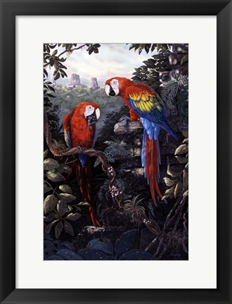 Framed Macaws Red Print