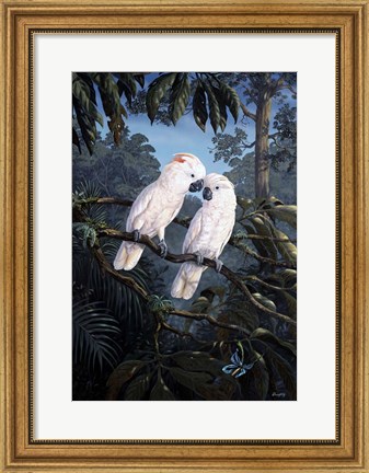 Framed Cockatoo Print