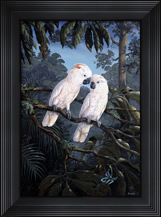 Framed Cockatoo Print