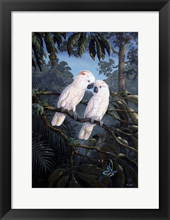 Framed Cockatoo Print