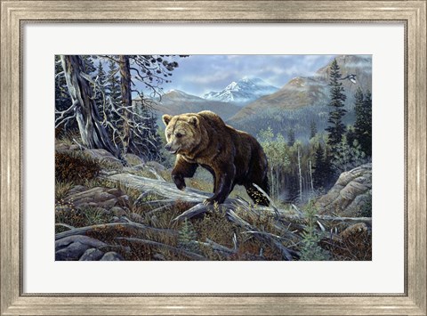 Framed Over The Top Grizzly Print