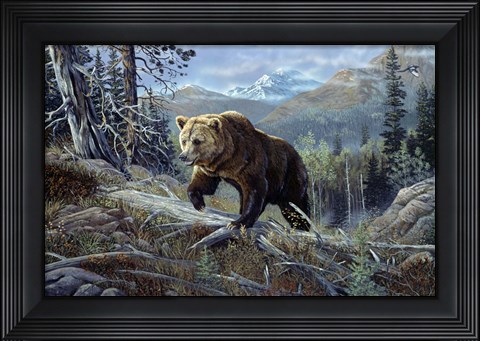 Framed Over The Top Grizzly Print