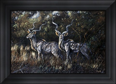 Framed Shadows Print