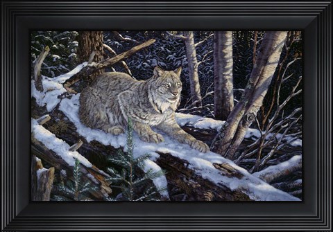 Framed Snow Moon Lynx Print
