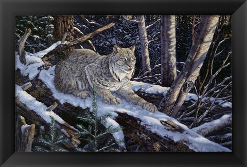 Framed Snow Moon Lynx Print