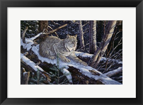 Framed Snow Moon Lynx Print