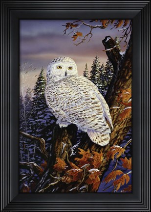 Framed Snowy Owl Print