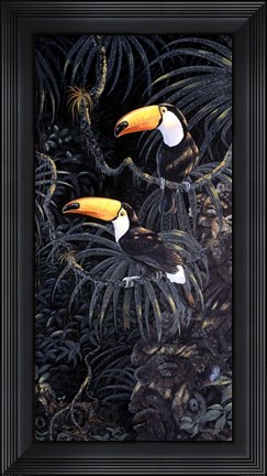 Framed Toucans Print