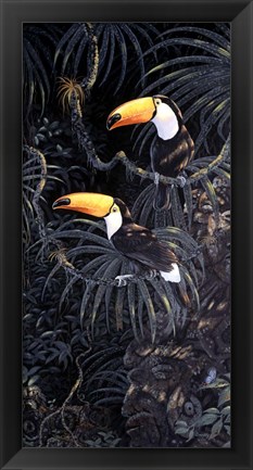 Framed Toucans Print