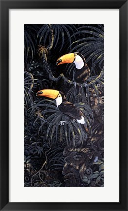 Framed Toucans Print