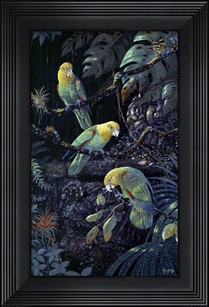 Framed Yellow Headed Amazons Print