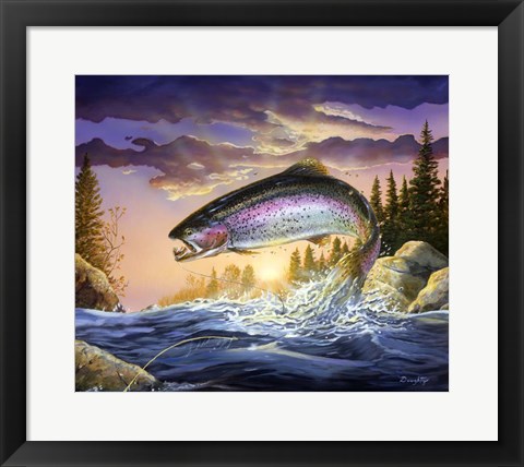 Framed Trout Print