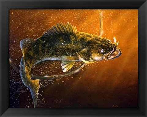 Framed Out Of The Net Walleye Print