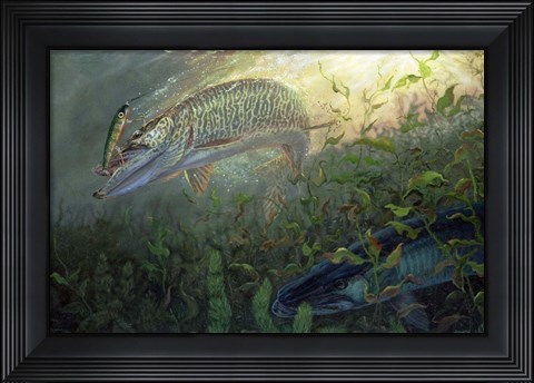 Framed Phantom Muskie Print