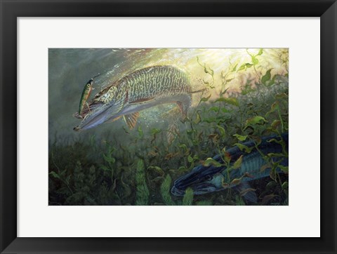 Framed Phantom Muskie Print