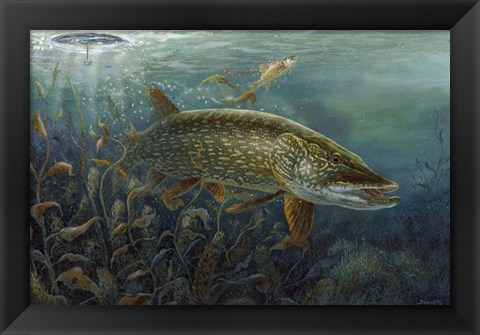 Framed Ice Pike Print