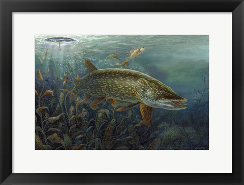 Framed Ice Pike Print