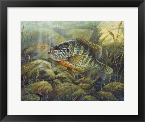 Framed Pumpkin Seed Print
