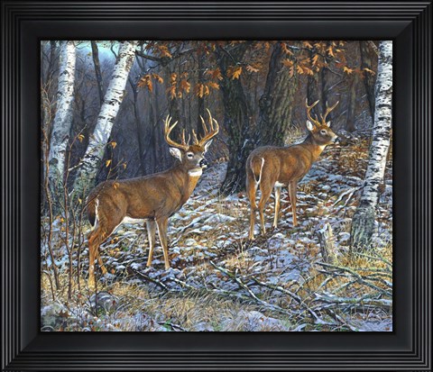 Framed Buck And A Half Print
