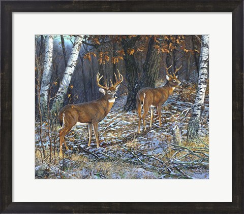 Framed Buck And A Half Print