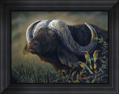 Framed Caped Buffalo Print