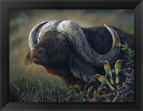 Framed Caped Buffalo Print