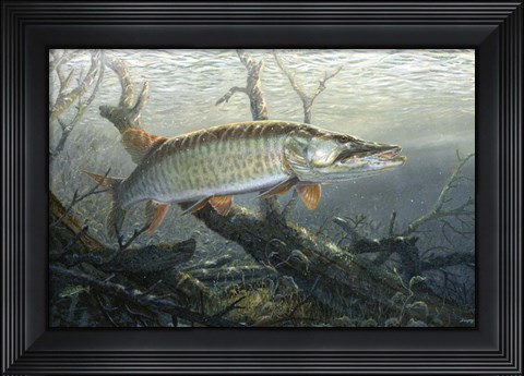 Framed Cruising The Shallows Print
