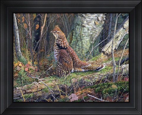 Framed Drummer Boy Print