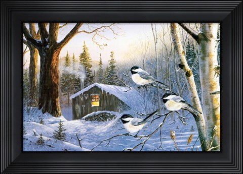 Framed Evening Shadows Print