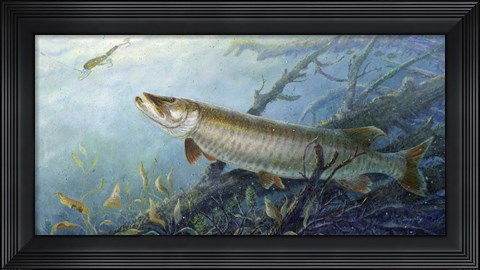 Framed Fish Of A Lifetime Print
