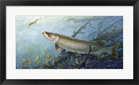 Framed Fish Of A Lifetime Print