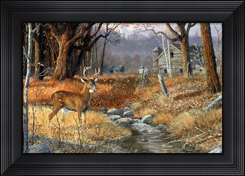 Framed Forgotten Valley Print