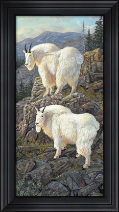 Framed Goat Country Print