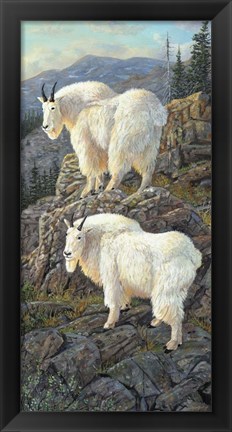 Framed Goat Country Print