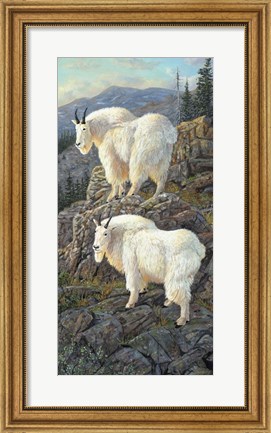 Framed Goat Country Print