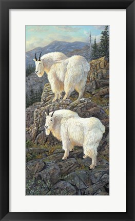 Framed Goat Country Print