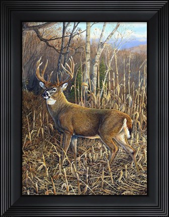 Framed Heading For Cover 2 Print